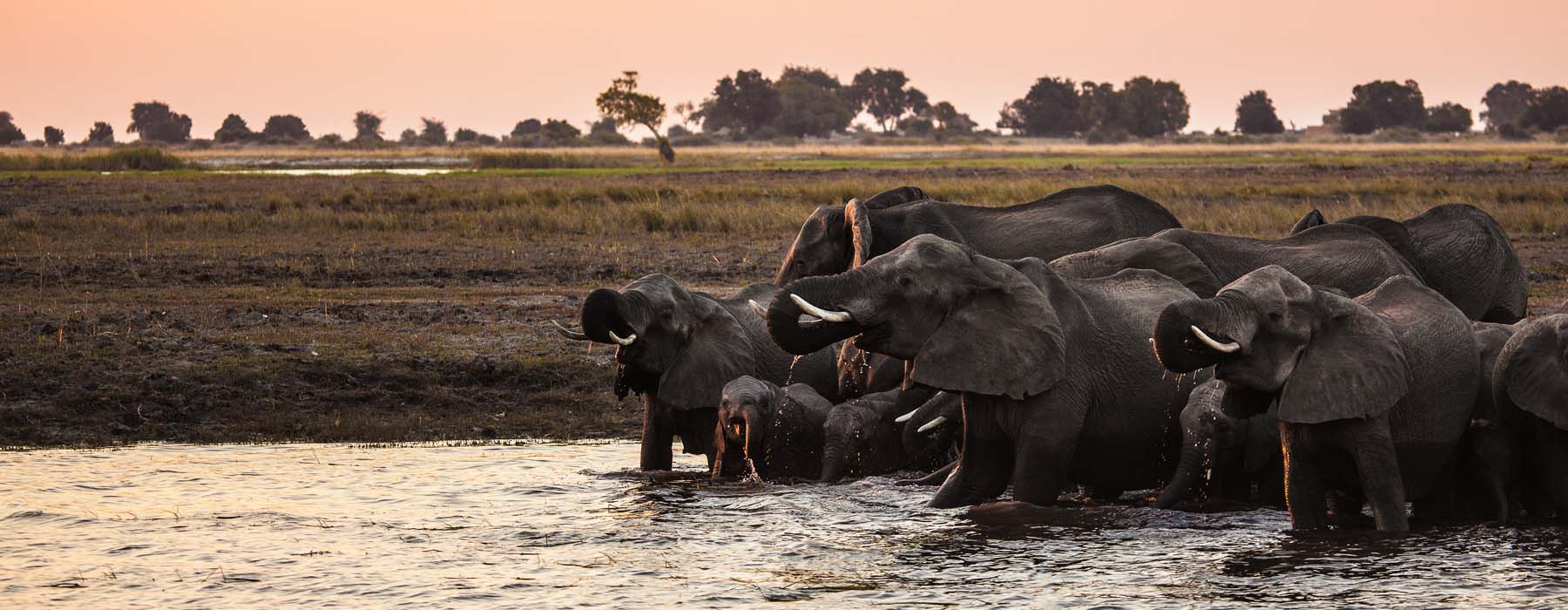 Botswana<br class="hidden-md hidden-lg" /> Wildlife Holidays