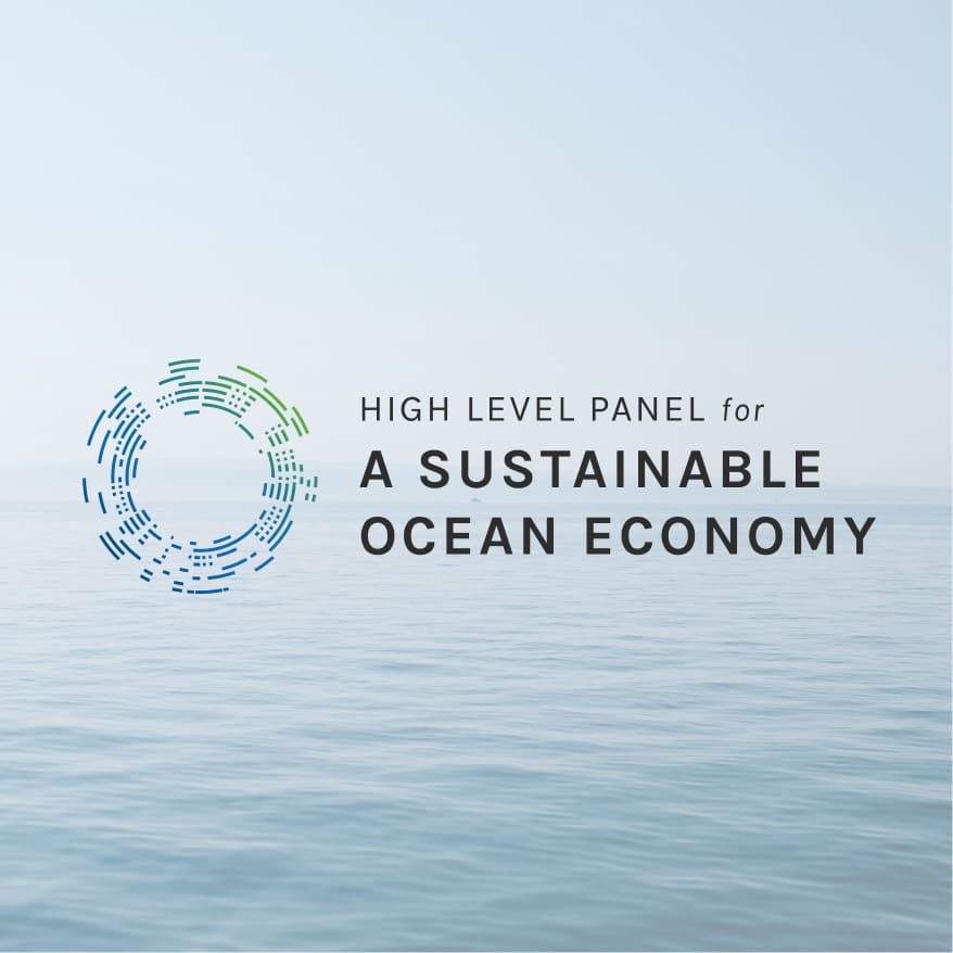 High level panel for a sustainable ocean economy