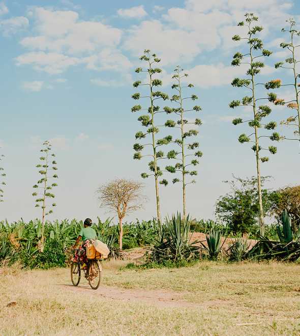 Regenerative Tourism in Practice: 20+ Stats and Projects to Restore Destinations