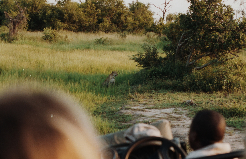 Best Time to go on Safari