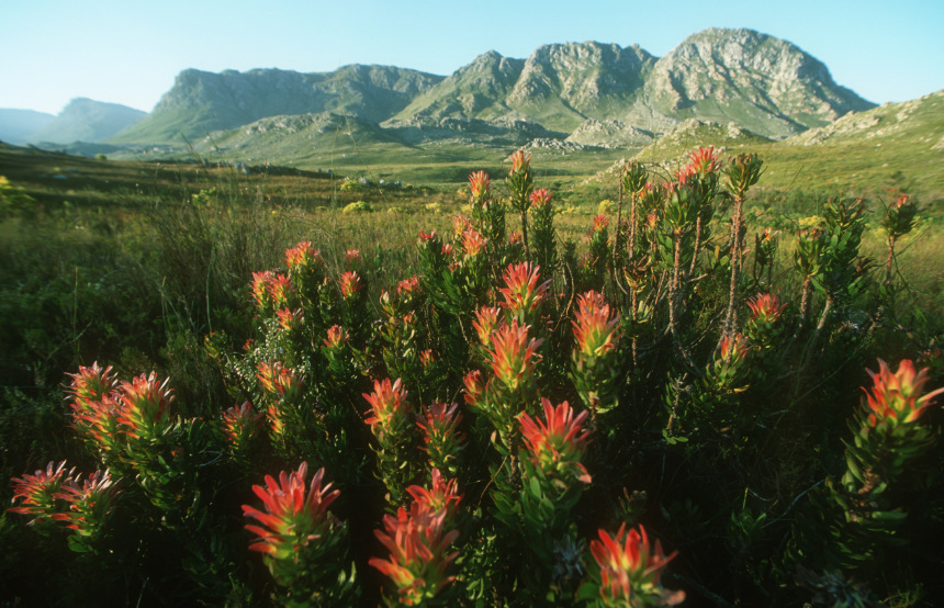 Mother Nature’s Marvels: Natural Phenomena Around the World