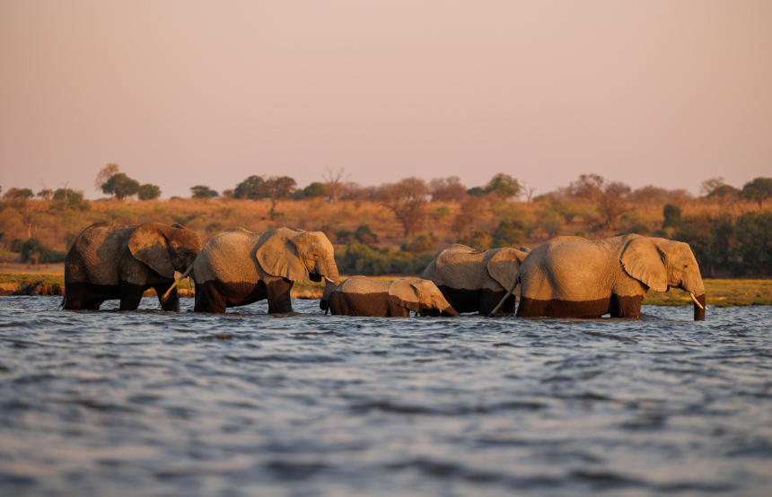 Most Beautiful Places in Botswana