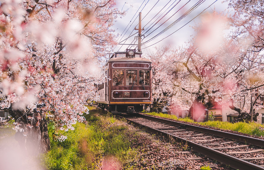 Best Train Trips in Japan