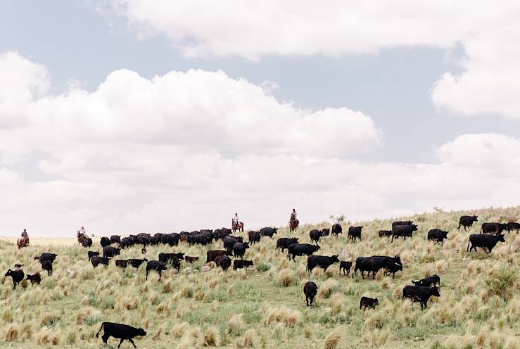 Sierras Chicas - Córdoba - Argentina © Kevin Faingnaert