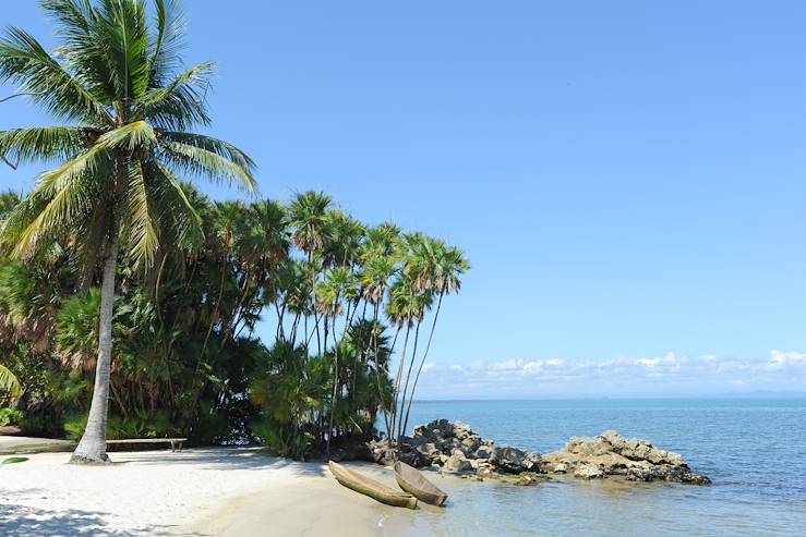 Beach and palm trees © fotoember/stock.adobe.com