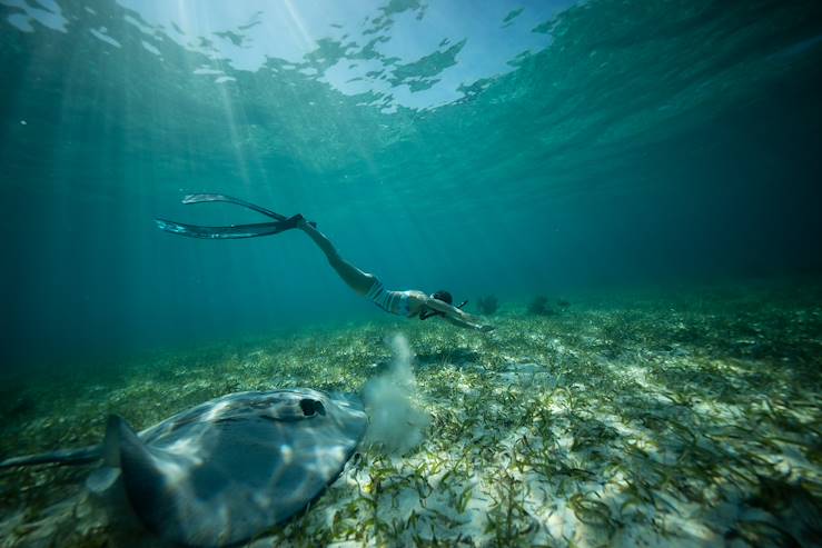 Diving in Antigua © Droits reservés