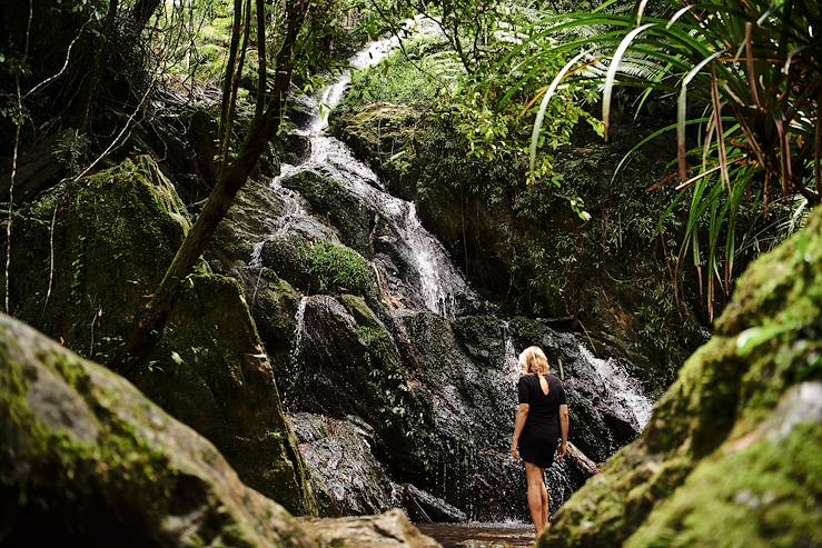 Waterfall - Australia © Droits reservés