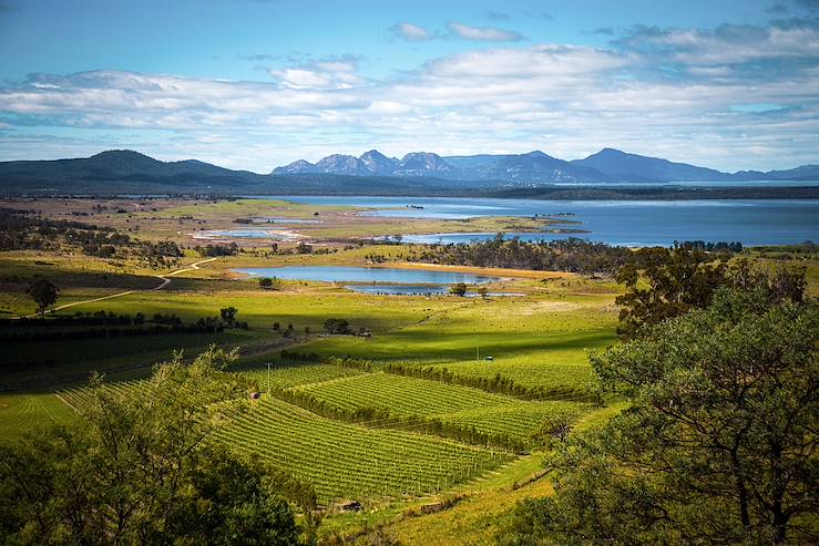 Vineyards and sea - Australia © Droits reservés