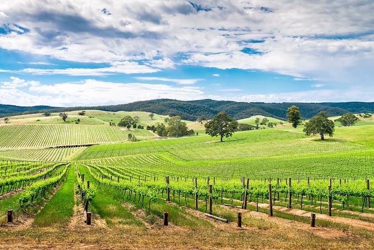 Wine Valley - Australia © Droits reservés