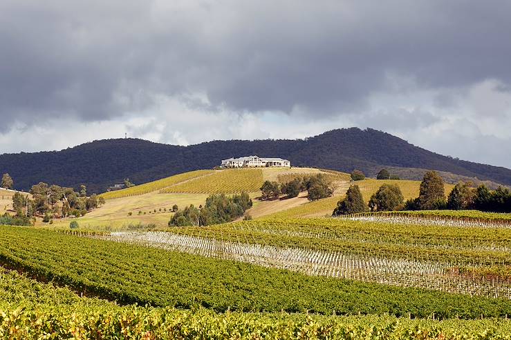 Wine Valley - Australia © Droits reservés