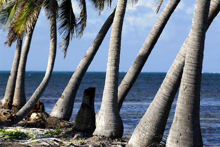 San Pedro - Ambergris Caye - Belize © Droits reservés