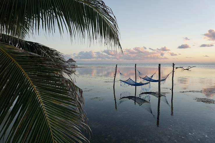 Palm tree and beach - Belize © Droits reservés