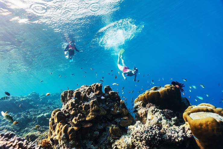 Diving in Belize © Alexander Shalamov/BlueOrange Studio/stock.adobe.com