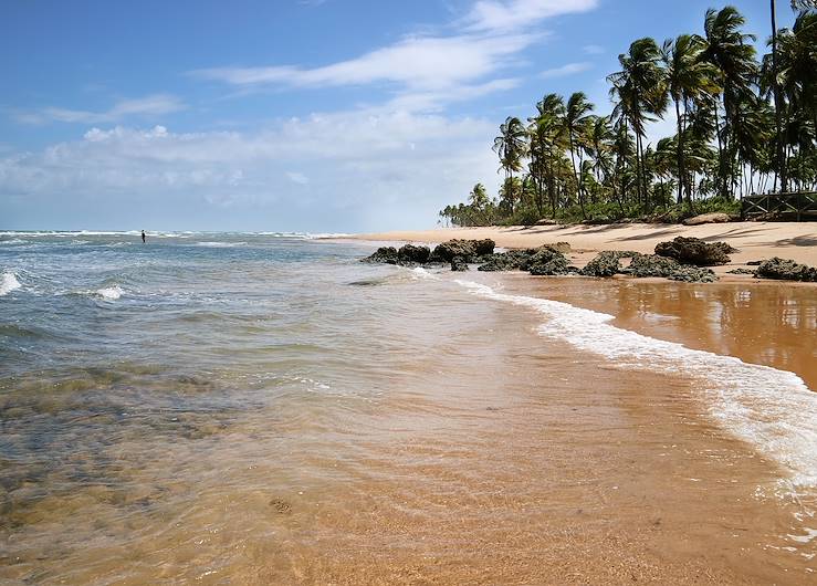 Beach - Brazil © Carla Nichiata/stock.adobe.com