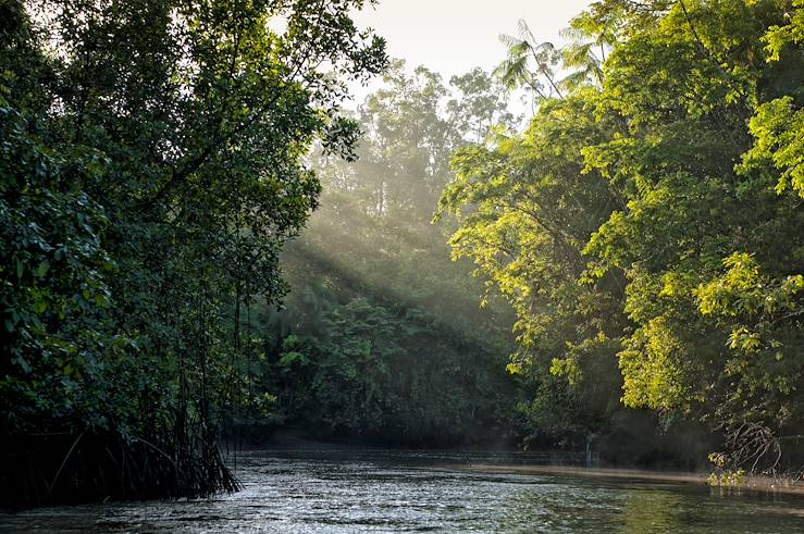 Jungle ans river - Brazil © Getty Images