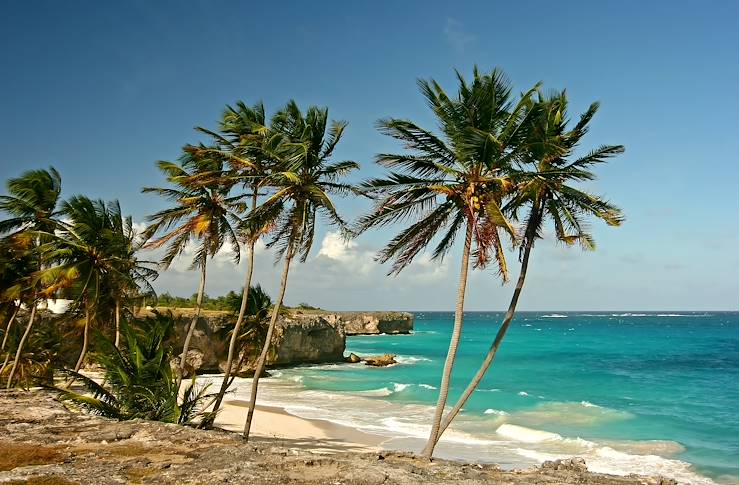 Palm trees and beach - Barbados © Droits reservés