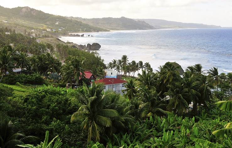 Bathsheba - Barbados © Droits reservés