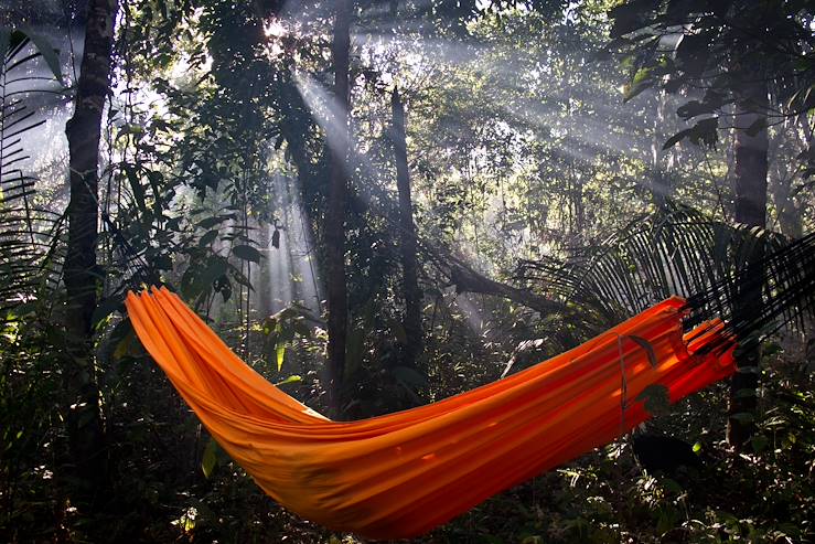 Hammock in the jungle - Barbados © Droits reservés