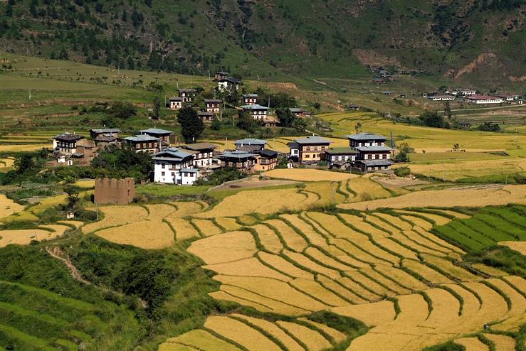 Punakha - Bhutan © Droits reservés