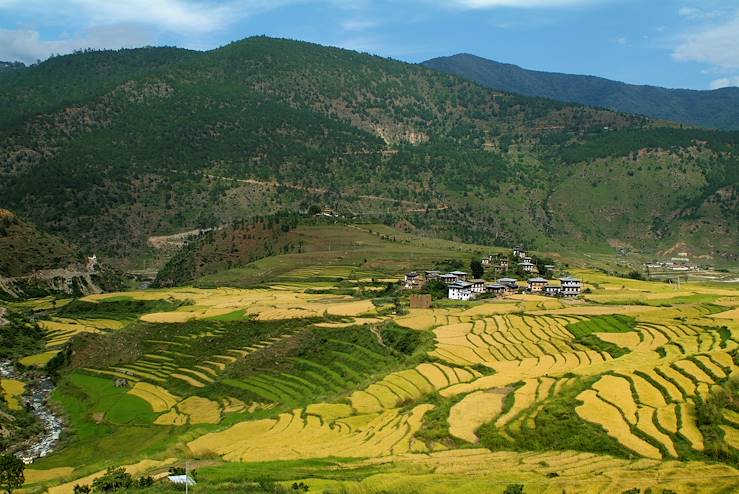 Punakha - Bhutan © Fritz Hiersche / Getty Images / iStockphoto