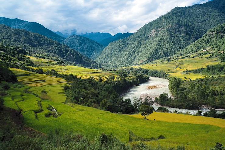 Mountains and rice fields - Bhutan © Six Senses Punakha