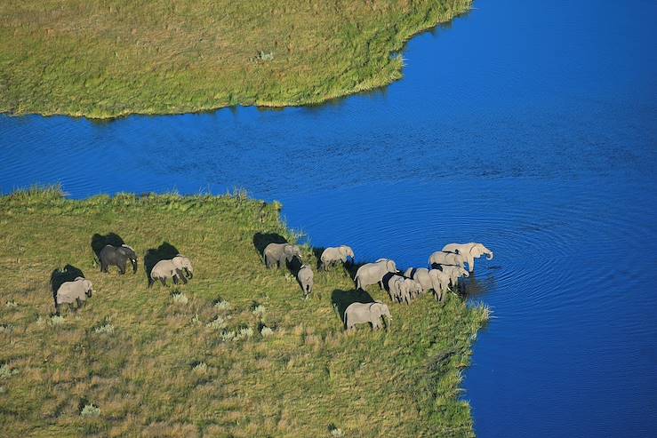 Elephants in Botswana © Dana Allen / Wilderness Safari