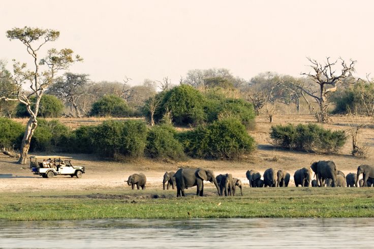 Safari in Chobe National Park  - Botswana © Forgiss/Fotolia