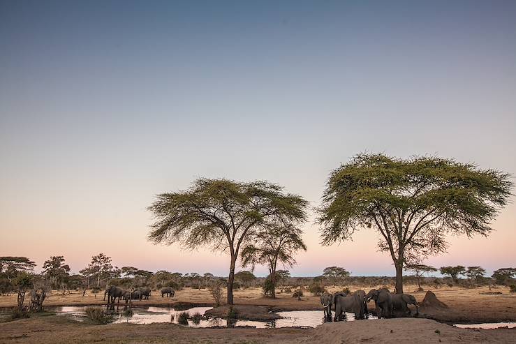 Chobe National Park  - Botswana © 2630ben/Getty Images/iStockphoto