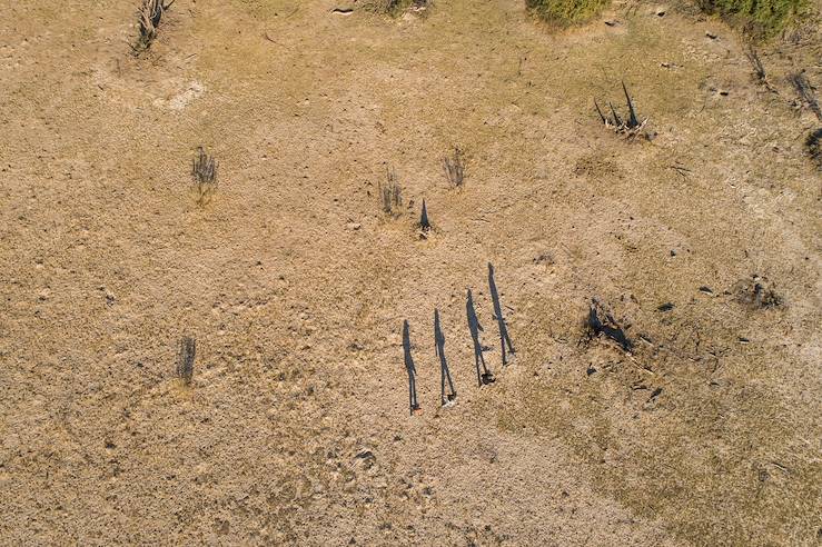 Ground view from the sky - Bostwana © Droits reservés