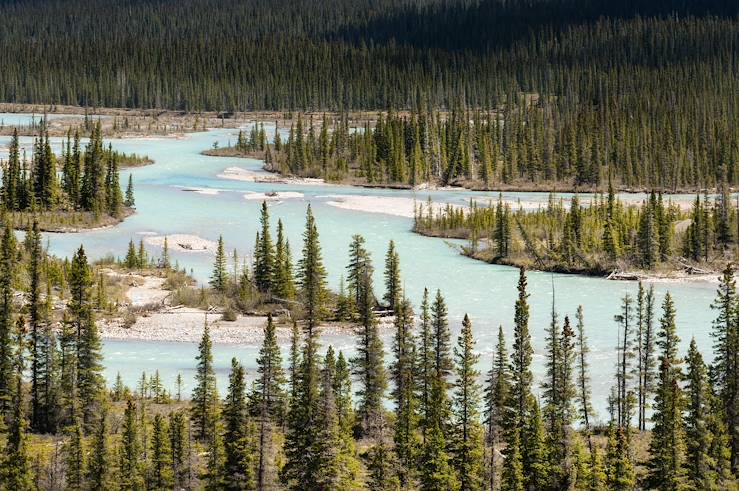 Saskatchewan River - Banff National Park - Alberta - Canada © Thomas Linkel/LAIF-REA