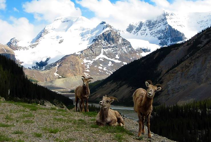 Banff - Canada © Droits reservés