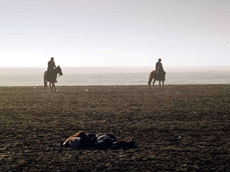 Horses and sea - Chile © fxegs / Fotolia.com