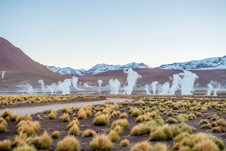 El Tatio Geyser - Chile © Droits reservés