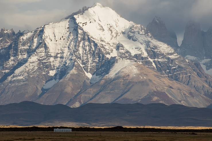 Torres del Paine National Park - Patagonia - Chile © Droits reservés