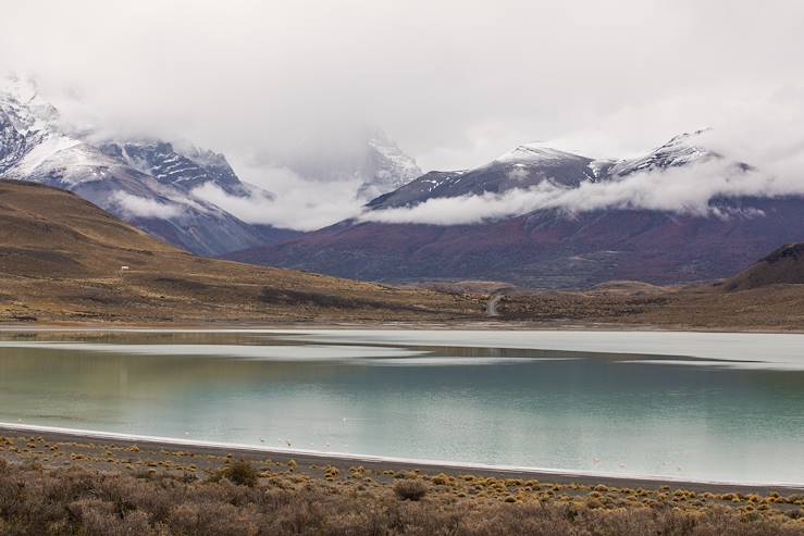 Laguna Amarga - Torres del Paine National Parl - Patagonia - Chile © Alix Pardo