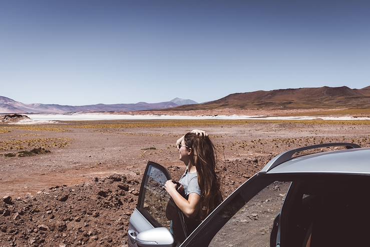 Atacama Desert - Chile © Anastasiia Shavshyna/Getty Images