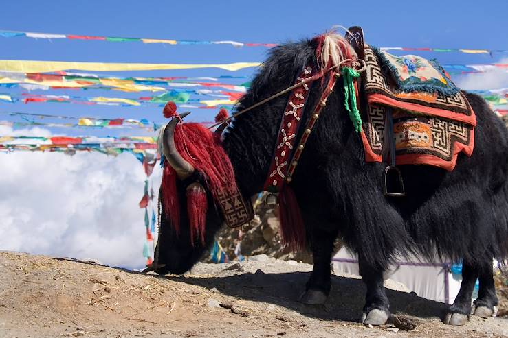 Gyantse - Tibet © SteveAllenPhoto/Getty Images/iStockphoto