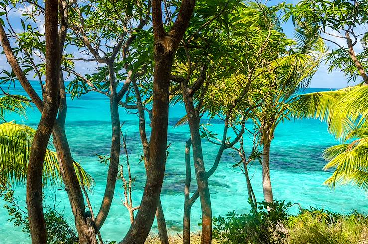 Palm trees and sea - Colombia © Droits reservés