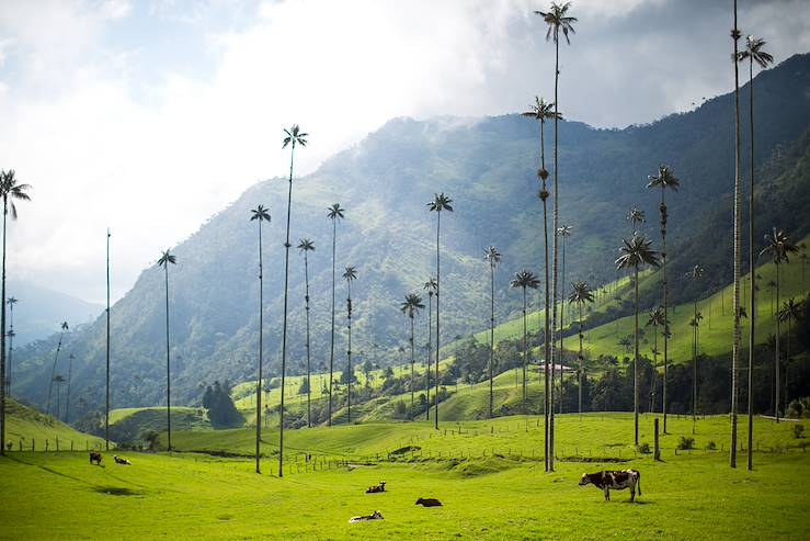 Salento - Quindío - Colombia © traveler1116/Getty Images