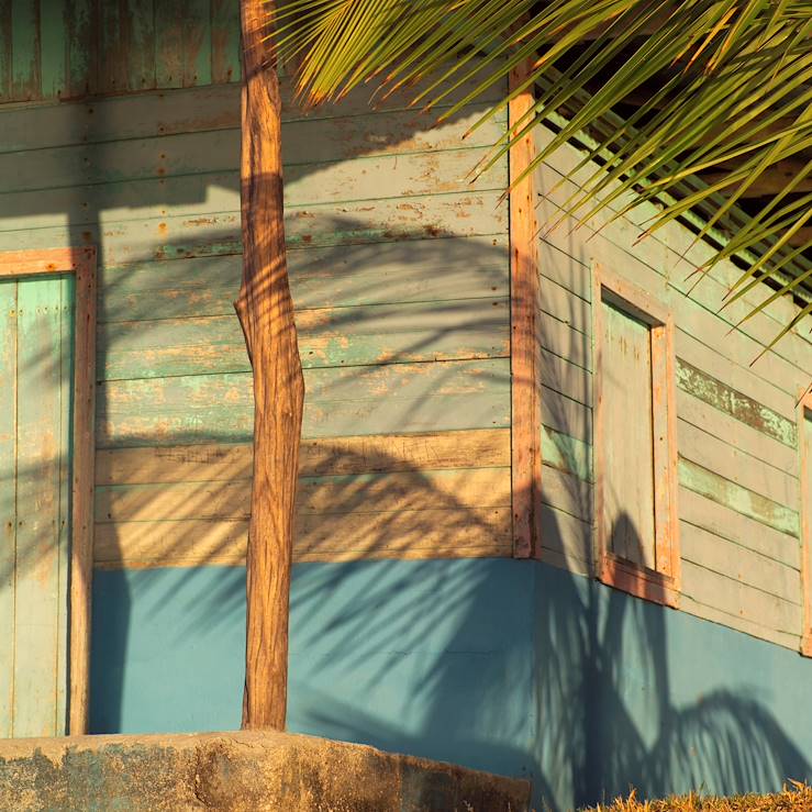 House and palm tree - Costa Rica © Droits reservés