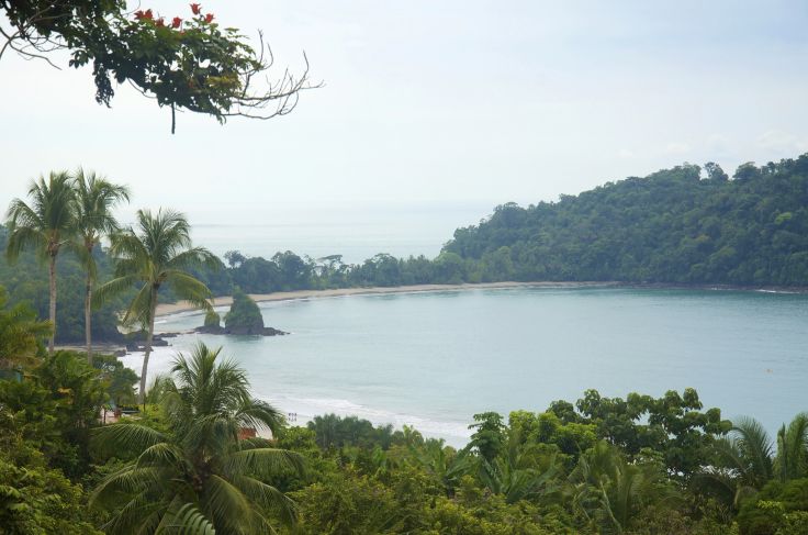 Parc national Manuel Antonio - Costa Rica © marlaynaglynnbrown/Getty Images/iStockphoto