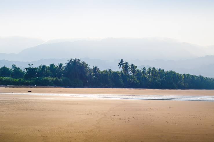 Sand and Jungle - Costa Rica © Alexander Konsta/Fotolia