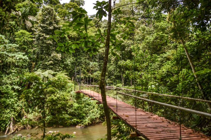 Puerto Viejo de Talamanca - Province de Limón - Costa Rica © Sylvain Ghirardotto