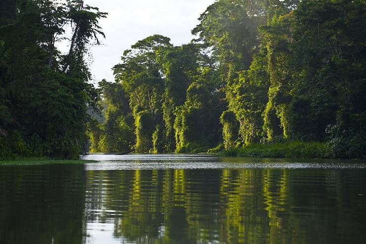 Costa Rica © Juan Carlos Munoz/stock.adobe.com