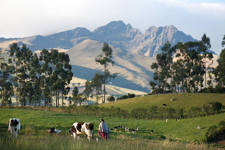 Ruminahui - Pichincha - Ecuador © Marc Oliver Schulz/laif-REA