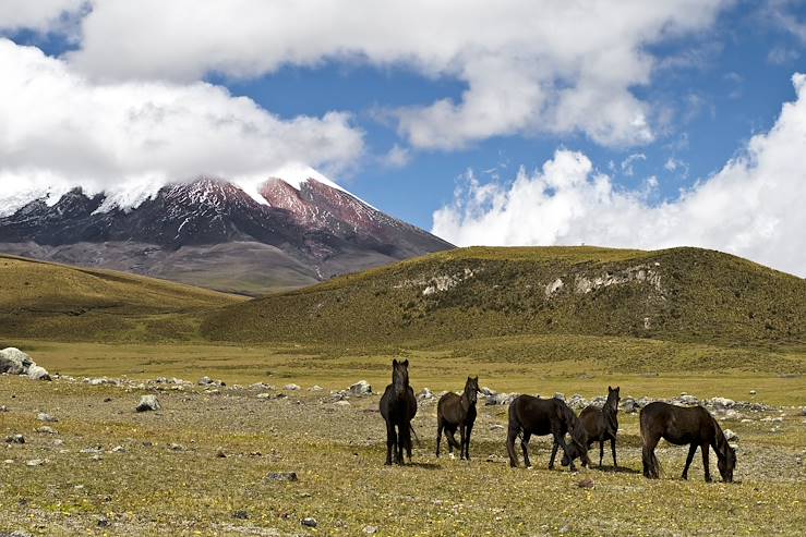 Cotopaxi Volcano - Ecuador © delkoo / Fotolia