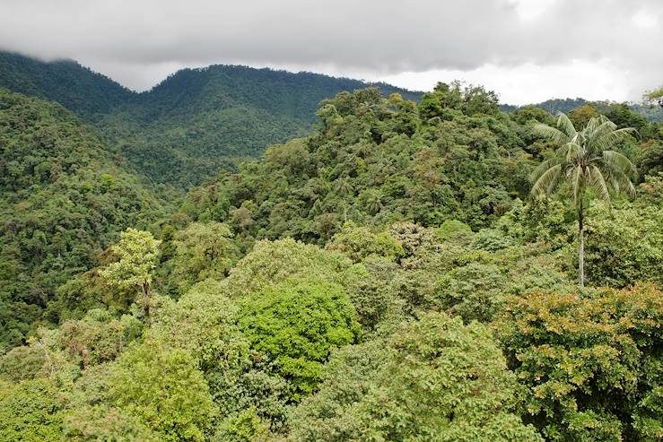 Mindo - Ecuador © Michael Gray/Getty Images