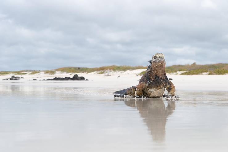 Santa Cruz - Galapagos - Ecuador © EdmundoSalinas/Getty Images/iStockphoto