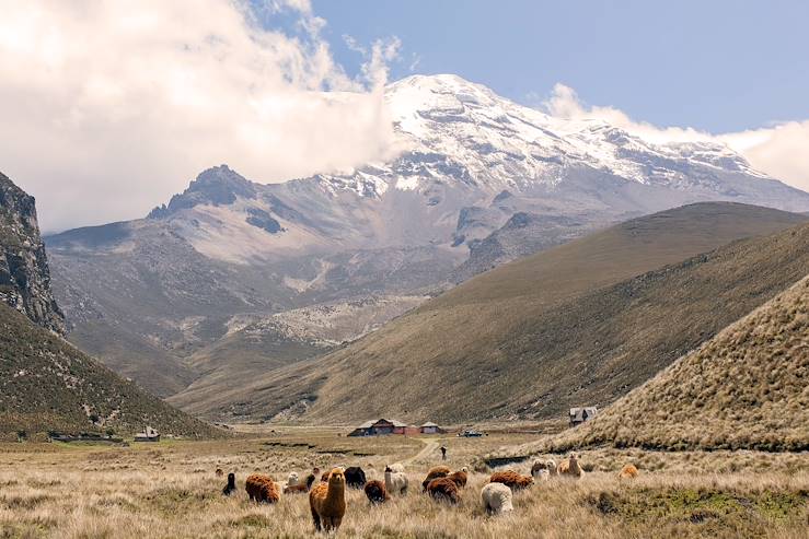 Chimborazo - Ecuador © kalypsoworldphotography/Fotolia