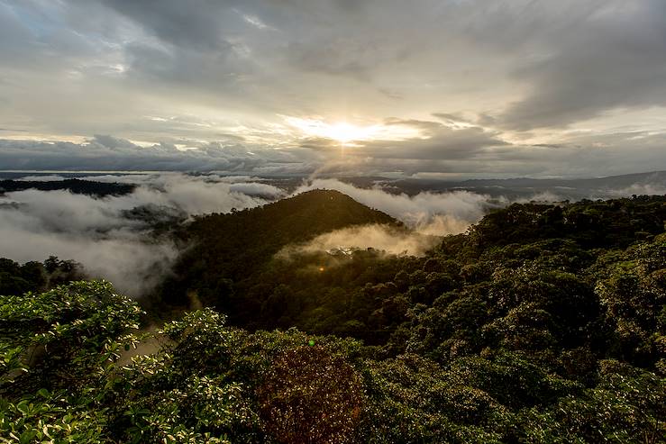 Mindo - Ecuador © Mashpi Lodge